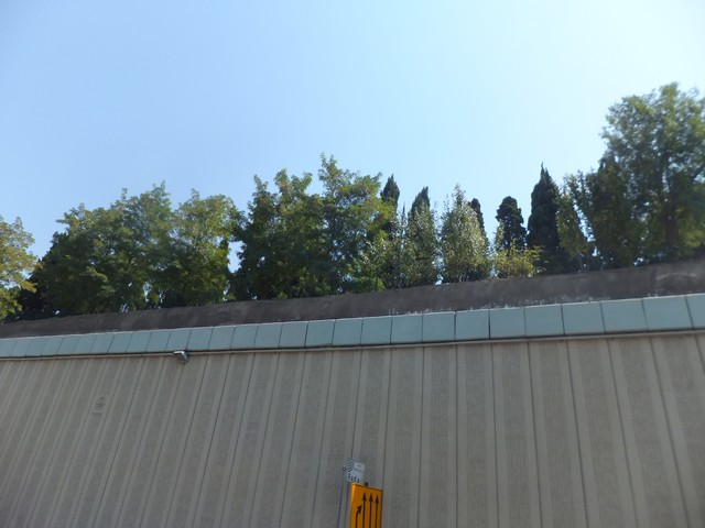 Name:  DSCF5111.jpg
Views: 665
Size:  68.4 KB
