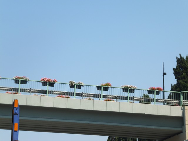Name:  DSCF5112.jpg
Views: 674
Size:  51.0 KB