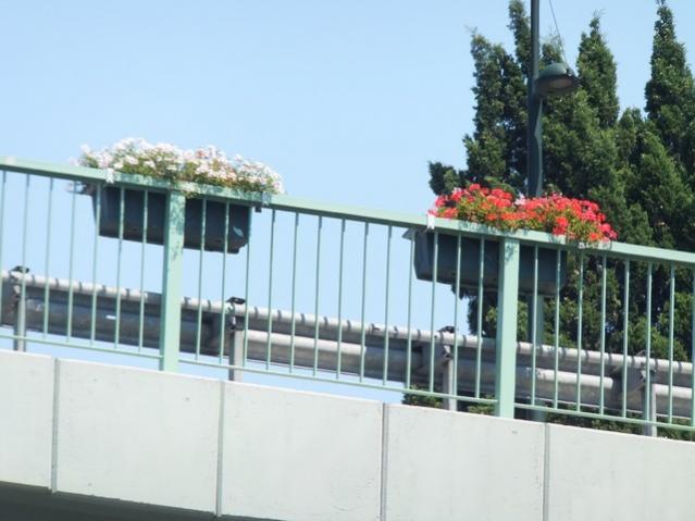 Name:  DSCF5113.jpg
Views: 663
Size:  40.0 KB