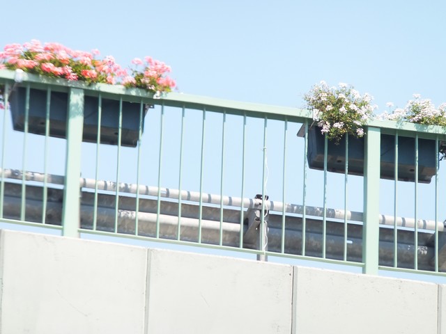 Name:  DSCF5114.jpg
Views: 686
Size:  64.8 KB