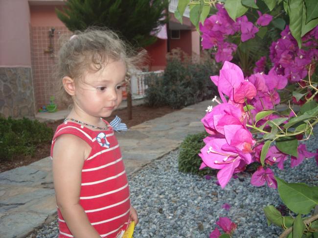 Name:  Kopyas (2) Resim 508.jpg
Views: 638
Size:  56.6 KB