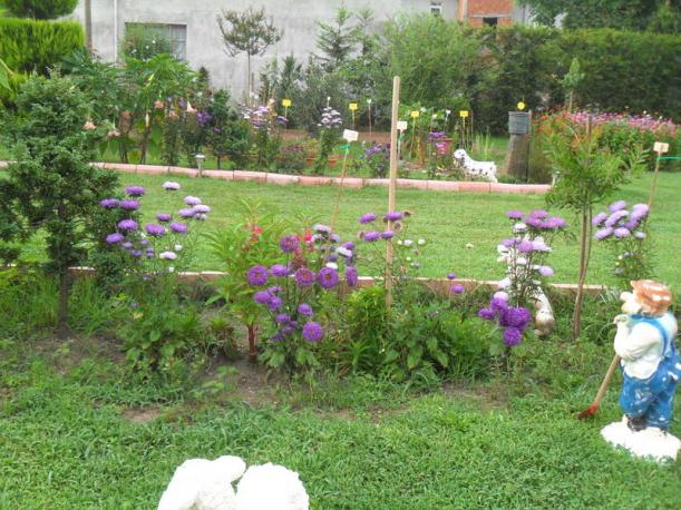 Name:  058.jpg
Views: 610
Size:  71.4 KB