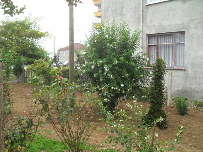 Name:  092.jpg
Views: 595
Size:  67.3 KB