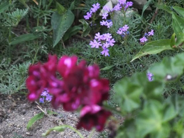 Name:  DSCF4832.jpg
Views: 545
Size:  50.5 KB