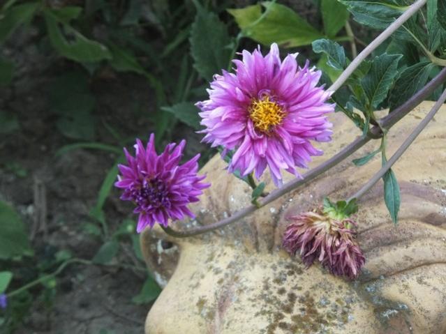 Name:  DSCF4837.jpg
Views: 721
Size:  48.1 KB
