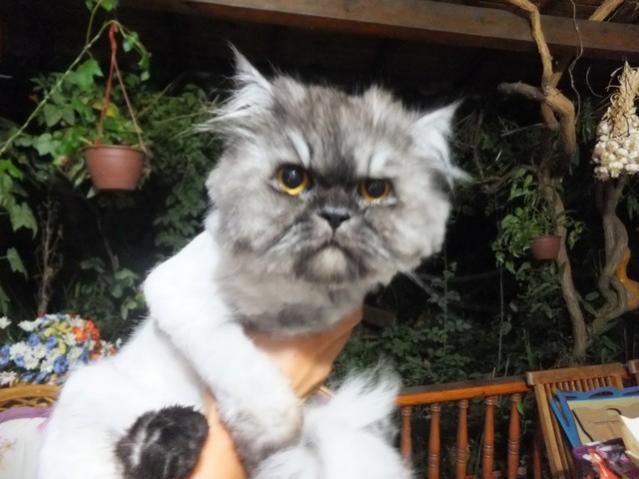 Name:  DSCF4851.jpg
Views: 702
Size:  42.0 KB