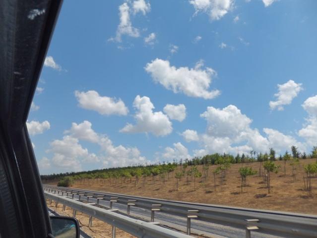 Name:  DSCF4883.jpg
Views: 685
Size:  33.9 KB