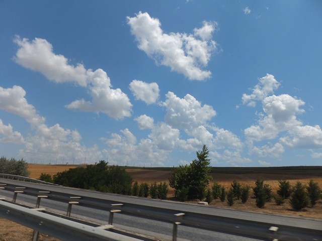 Name:  DSCF4885.jpg
Views: 687
Size:  67.2 KB