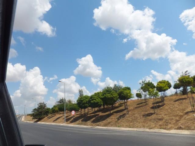 Name:  DSCF4890.jpg
Views: 666
Size:  34.3 KB