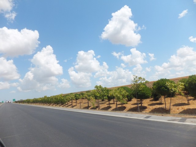 Name:  DSCF4891.jpg
Views: 661
Size:  63.3 KB