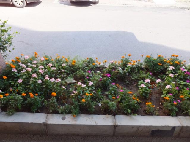 Name:  DSCF4910.jpg
Views: 884
Size:  47.7 KB