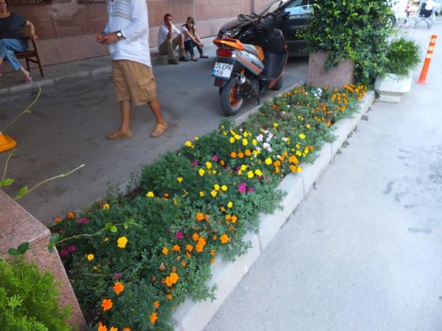 Name:  DSCF4913.jpg
Views: 873
Size:  51.7 KB