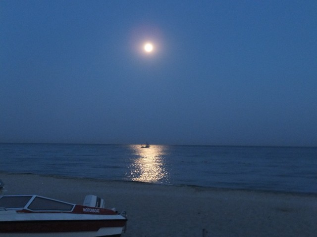 Name:  DSCF4933.jpg
Views: 603
Size:  47.0 KB