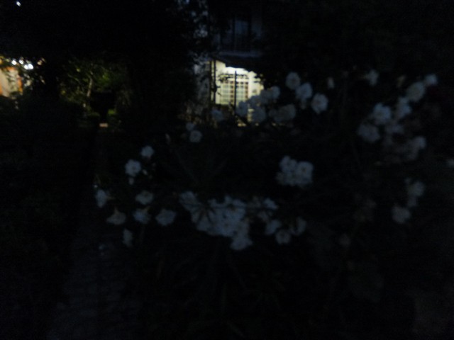 Name:  DSCF4936.jpg
Views: 604
Size:  46.0 KB
