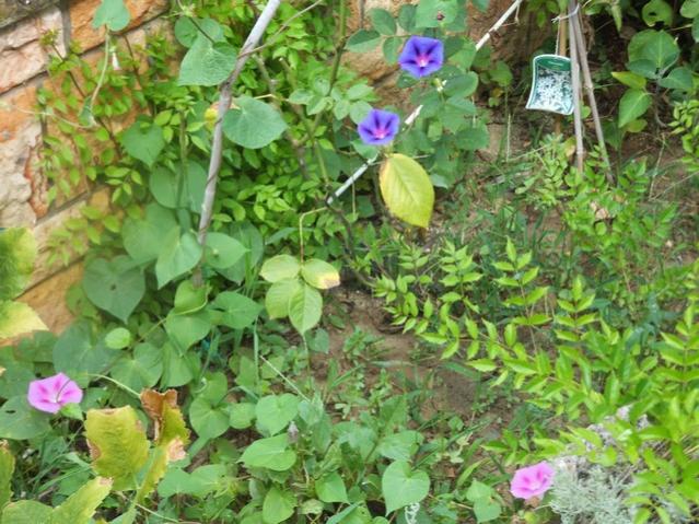 Name:  DSCF4964.jpg
Views: 587
Size:  69.7 KB