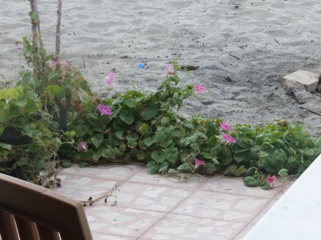 Name:  DSCF4971.jpg
Views: 556
Size:  50.9 KB