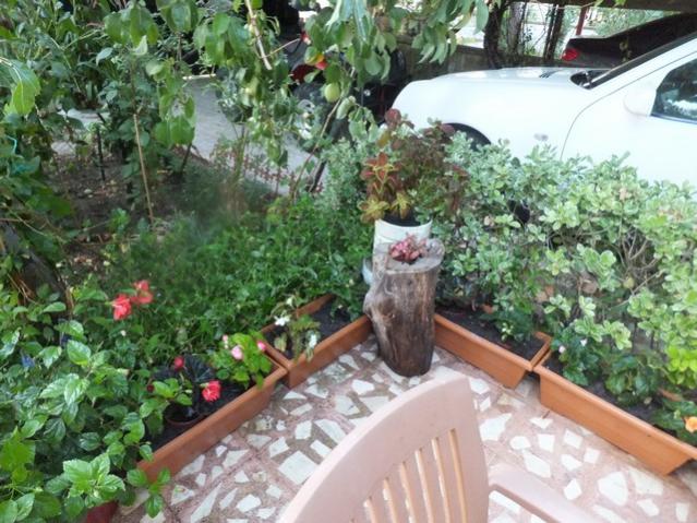 Name:  DSCF4978.jpg
Views: 769
Size:  67.8 KB