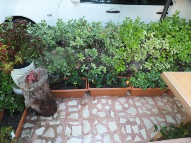 Name:  DSCF4979.jpg
Views: 572
Size:  58.0 KB