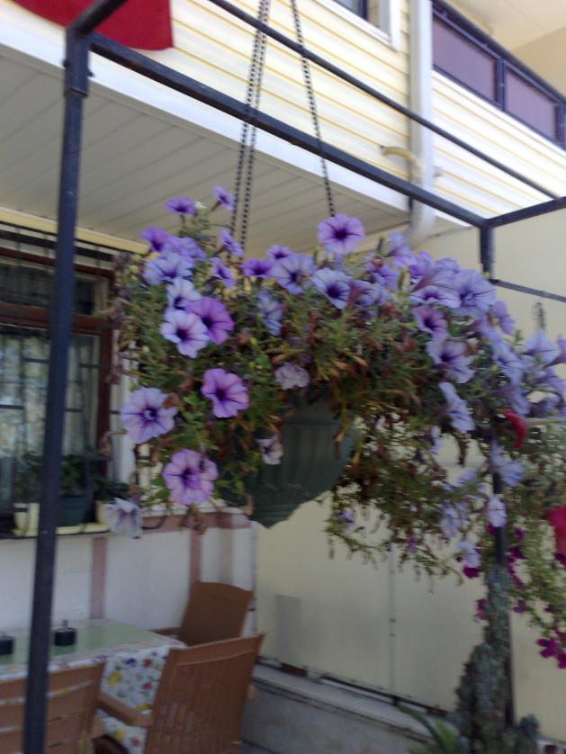 Name:  30082012039.jpg
Views: 945
Size:  70.8 KB