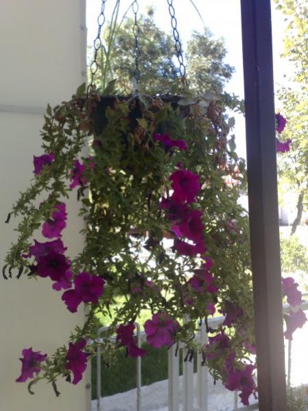 Name:  phpVzhzSiAM.jpg
Views: 929
Size:  47.7 KB