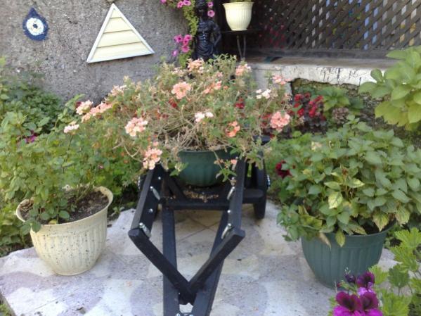 Name:  phpFTgHe6AM (1).jpg
Views: 917
Size:  55.0 KB