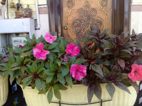 Name:  phpi2oXr9AM.jpg
Views: 1002
Size:  49.6 KB