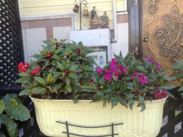 Name:  phpRPSHctAM.jpg
Views: 972
Size:  47.9 KB