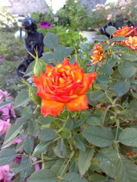 Name:  phpWajgpqAM.jpg
Views: 1009
Size:  47.4 KB