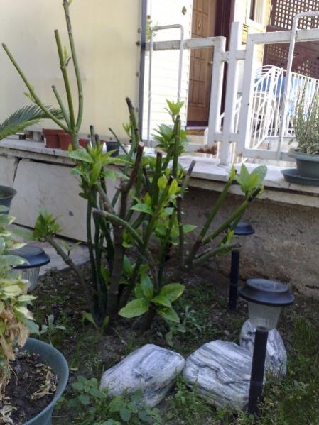 Name:  php26B2WtAM.jpg
Views: 984
Size:  50.5 KB