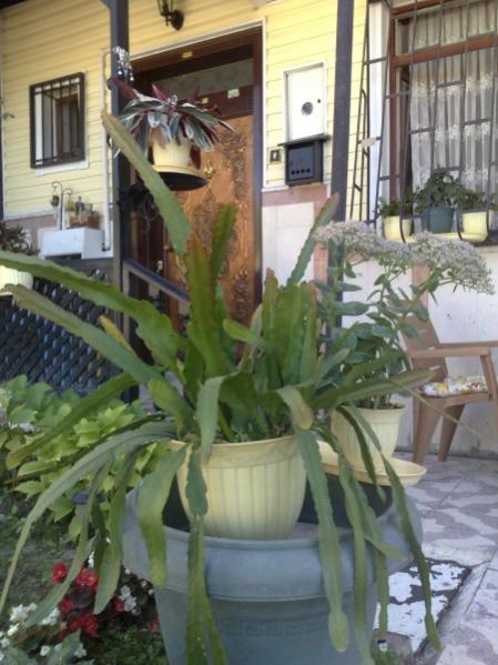 Name:  phpDK5GCOAM.jpg
Views: 976
Size:  47.4 KB
