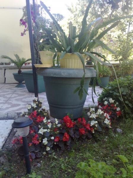 Name:  phpMxdilYAM.jpg
Views: 947
Size:  49.8 KB