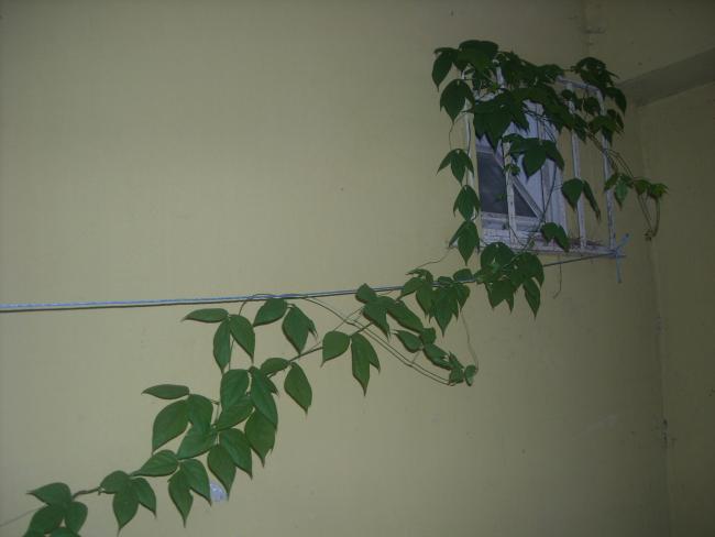 Name:  Resim 475.jpg
Views: 568
Size:  22.6 KB