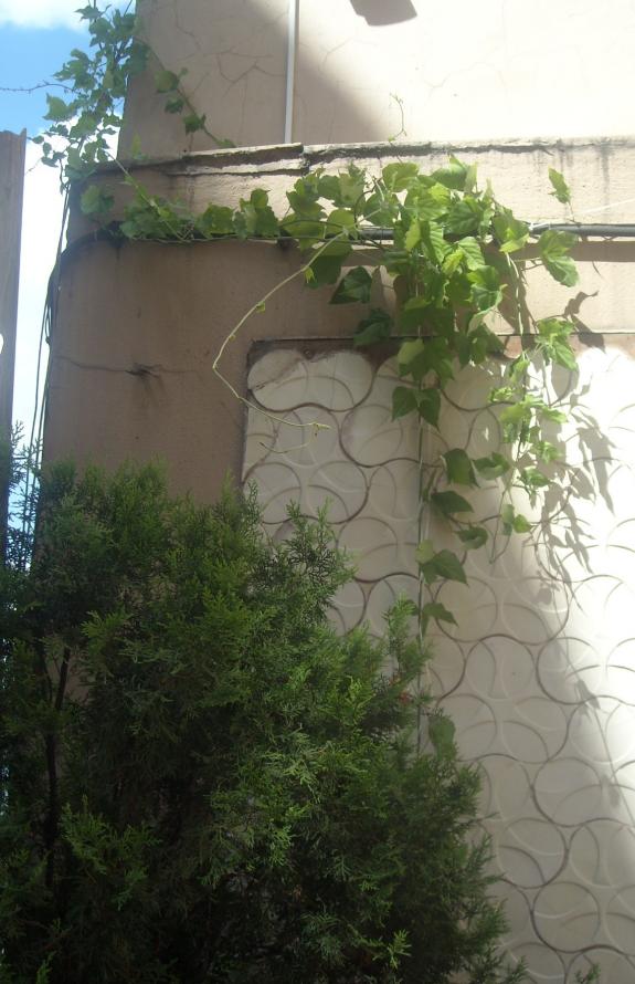 Name:  Resim 470022.jpg
Views: 561
Size:  72.6 KB