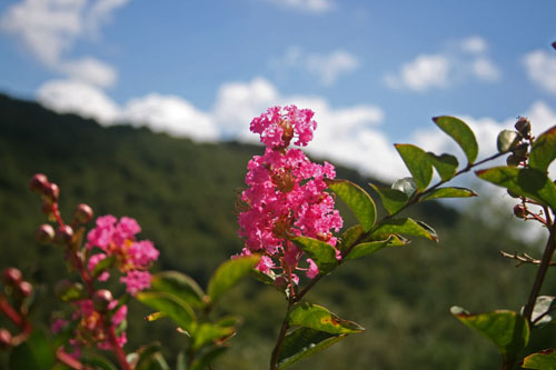 Name:  OYA.jpg
Views: 6138
Size:  56.7 KB