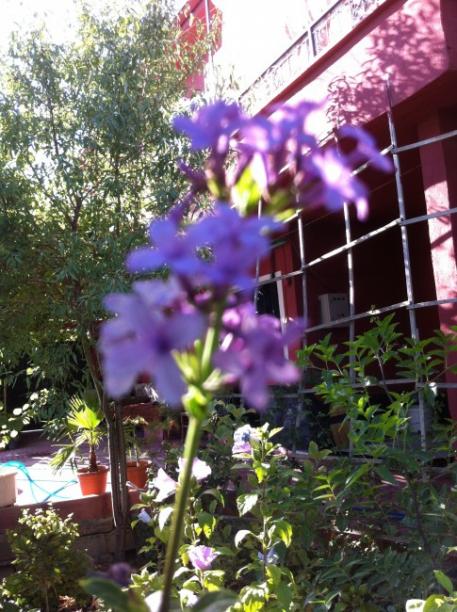 Name:  iphone 024.jpg
Views: 1026
Size:  64.8 KB