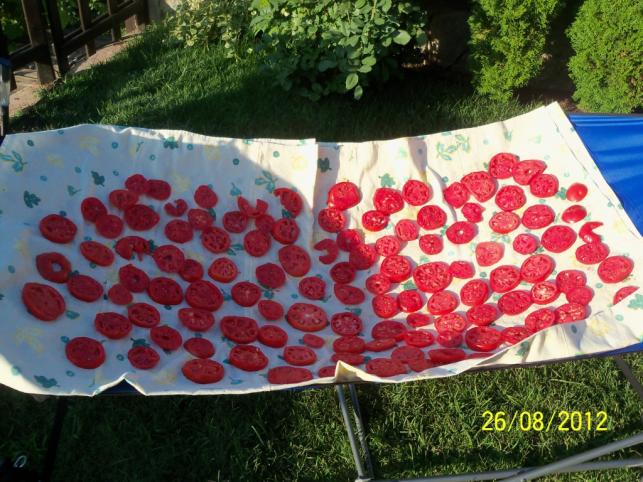 Name:  101_1291.jpg
Views: 980
Size:  70.7 KB