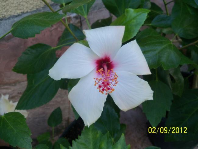 Name:  101_1538.jpg
Views: 700
Size:  32.8 KB