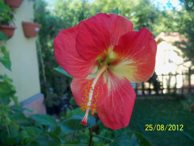 Name:  101_1183.jpg
Views: 714
Size:  38.0 KB