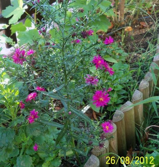 Name:  101_1302.jpg
Views: 745
Size:  74.9 KB