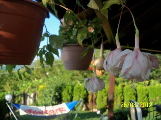 Name:  101_1288.jpg
Views: 753
Size:  40.7 KB