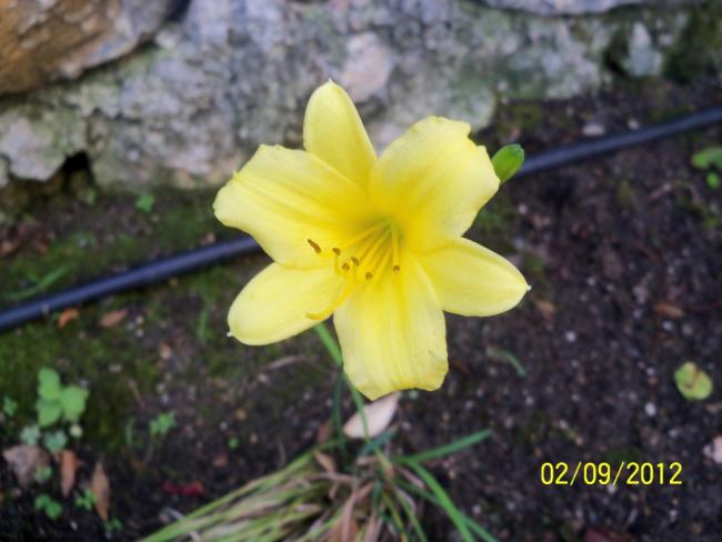 Name:  101_1508.jpg
Views: 697
Size:  37.9 KB