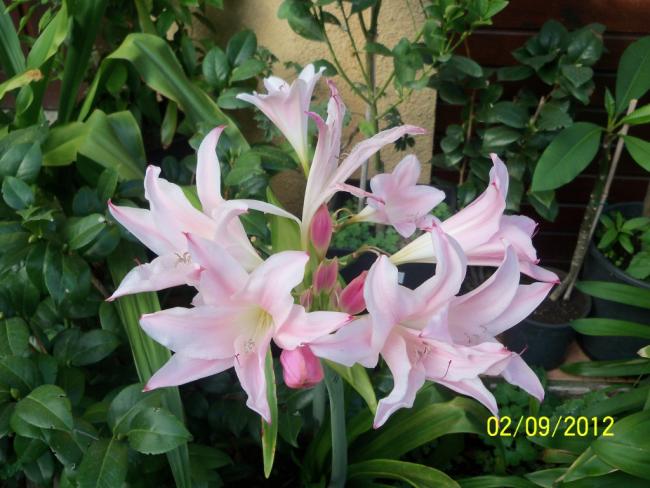 Name:  101_1513.jpg
Views: 689
Size:  52.0 KB
