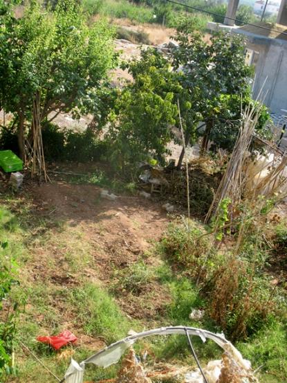 Name:  IMG_7536.jpg
Views: 642
Size:  68.0 KB