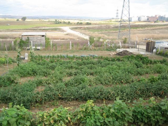 Name:  IMG_0227.jpg
Views: 1803
Size:  69.9 KB