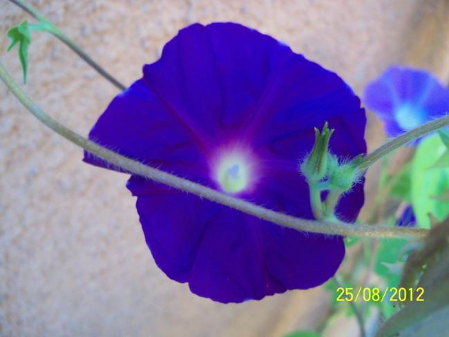 Name:  101_1203.jpg
Views: 625
Size:  28.7 KB