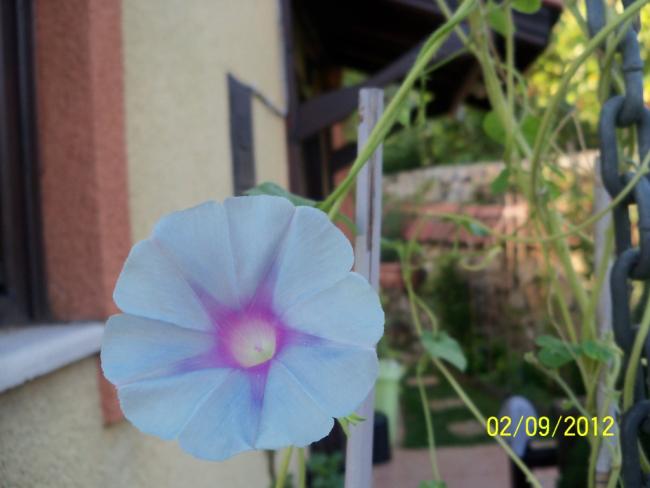 Name:  101_1515.jpg
Views: 655
Size:  32.2 KB