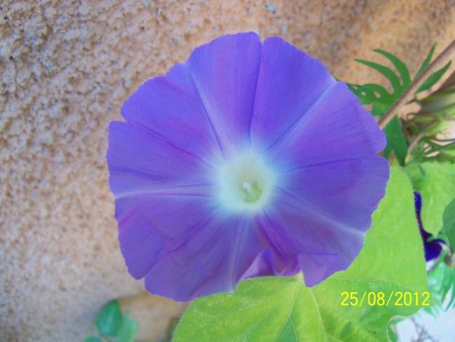 Name:  101_1200.jpg
Views: 621
Size:  36.9 KB