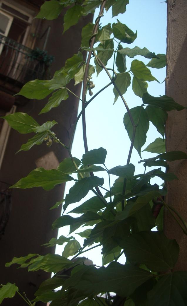 Name:  Resim 478.jpg
Views: 551
Size:  70.9 KB