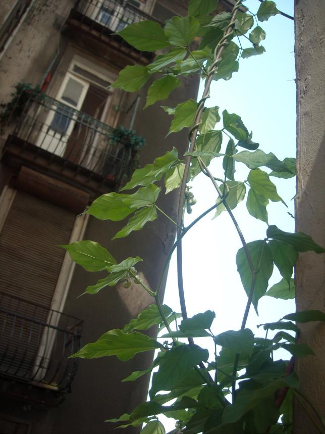 Name:  Resim 479.jpg
Views: 510
Size:  70.2 KB