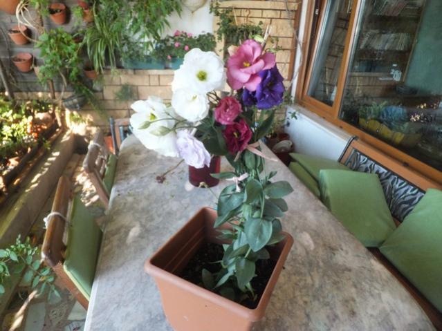 Name:  DSCF5128.jpg
Views: 378
Size:  53.5 KB